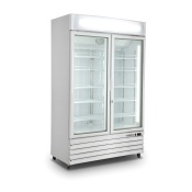 SARO Ventilated Freezer 2 glass doors model D 800