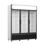 SARO Refrigerator with glass door + canopy model GTK 1065