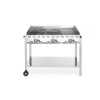 GAASIGRILL GREEN FIRE PROFI 3 PÕLETIT