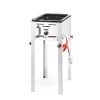 GAASIGRILL GRILL-MASTER MINI