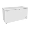 Sügavkülmkirst, Arktic, 2 korvi, 412L, Valge, 230V/110W, 1580x770x(H)870mm