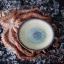 Galaxy pastataldrik, 300mm